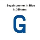 Segelnummer 15" - 380mm "G" Blau...