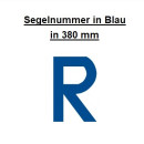 Segelnummer 15" - 380mm "R" Blau...
