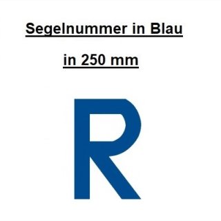 Segelnummern - 250 mm - blau R